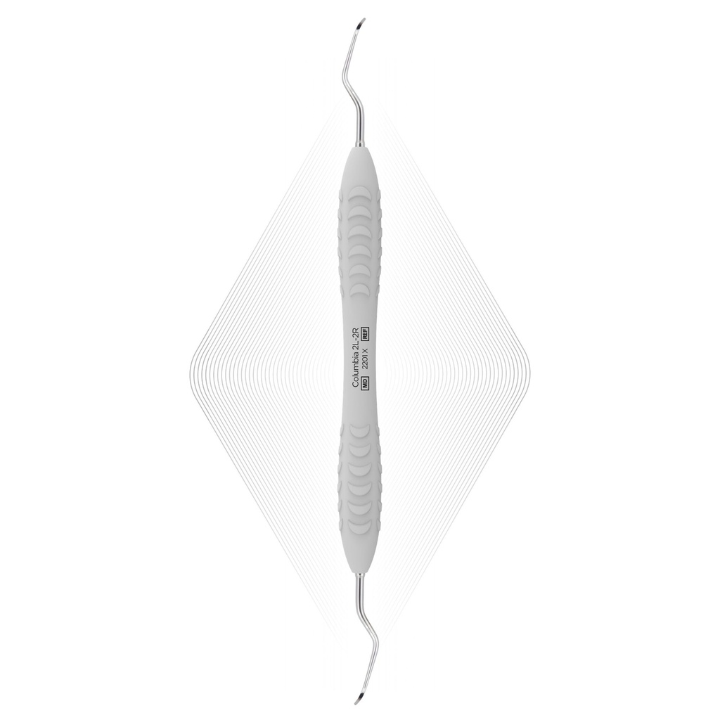 [2201 X] Columbia curette 2L-2R | ErgoDenta (ErgoX)