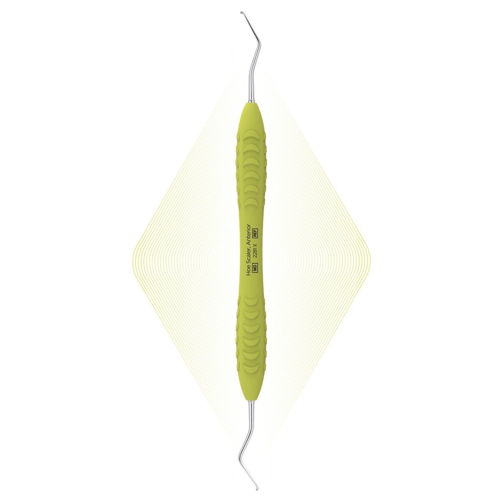 Hoe-scaler, Anterior | ErgoDenta