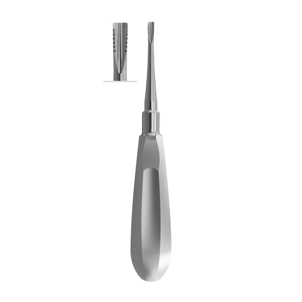 Lindo-Levian rod Elevator, Fig. 3 | ErgoDenta