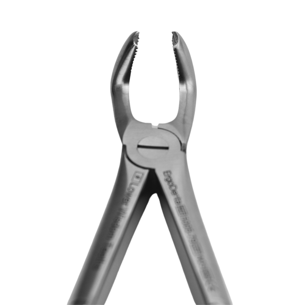 [5005-79] Underkæbe Wisdom Teeth | Standard ekstraktionstang | ErgoDenta
