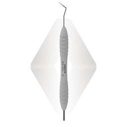 Sonde 29 | ErgoDenta