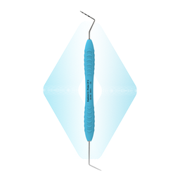 Sonde 6 + pochemåler CP-2 | ErgoDenta