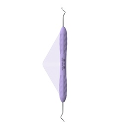 Sigdscaler 204S | ErgoLite X